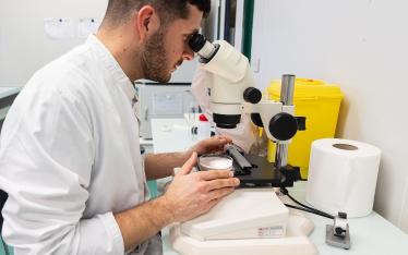 laborantin réalisant des analyses au microscope