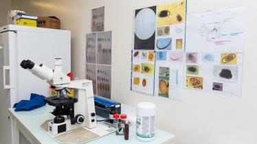 Vue du laboratoire départemental, avec microscope, service aide aux diagnostics