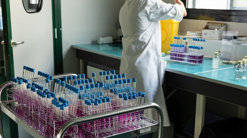 microbiologie alimentaire